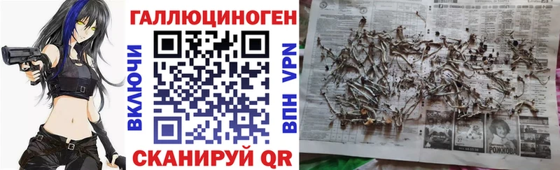 Галлюциногенные грибы Psilocybine cubensis  Северодвинск 