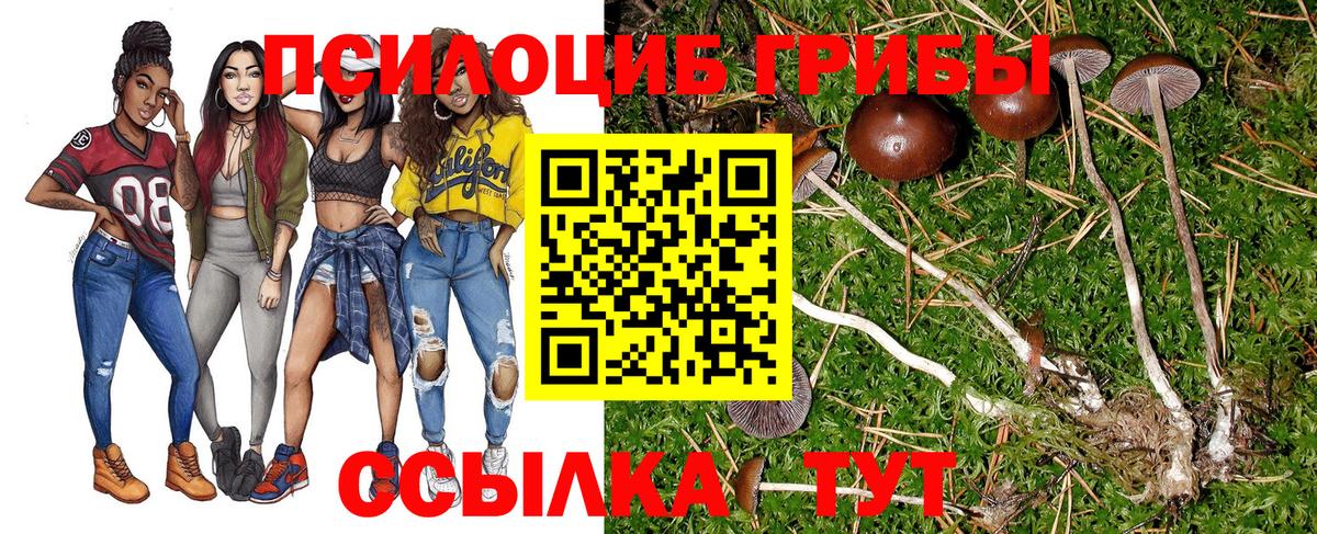 Конопля  APVP  ГАШИШ  Бошки Шишки  Где найти наркотики?  Северодвинск  Вход с VPN  Меф  COCAIN 