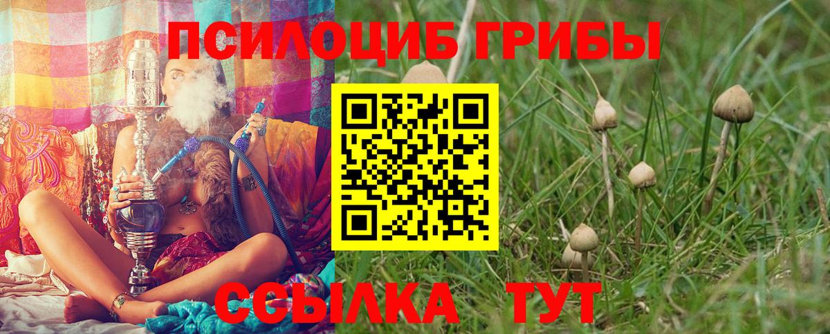 Северодвинск  Каннабис  Вход с VPN  Гашиш  Меф кристаллы  Cocaine  АМФЕТАМИН кристаллы 