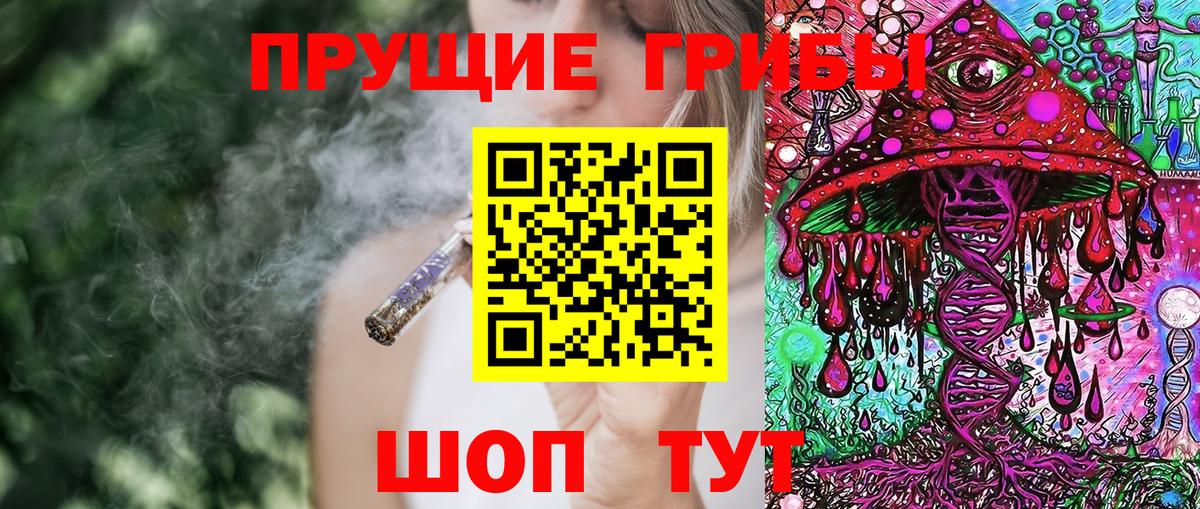 Галлюциногенные грибы Cubensis  Вход с VPN  Северодвинск 